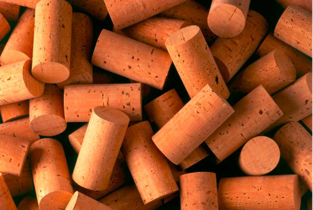 了解這些問題后，你對軟木會有更多不同的認識