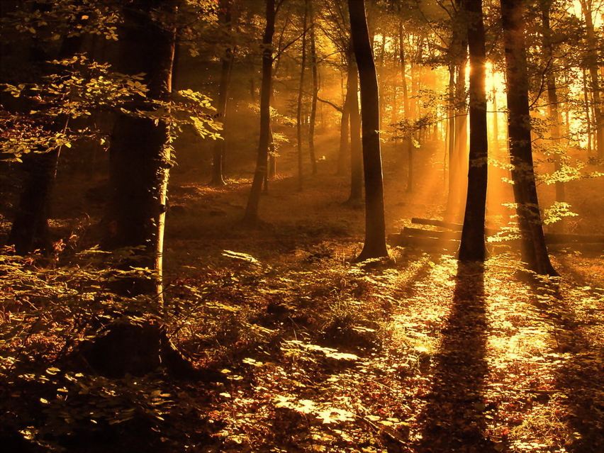 軟木，色彩生活