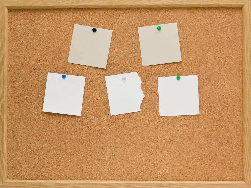 科櫟奇.jpg 科櫟奇.jpg