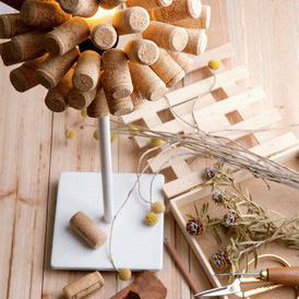 科櫟奇.png 科櫟奇.png