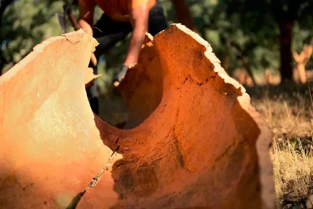 1583288849805096.jpg 微信圖片_20200304102619.jpg