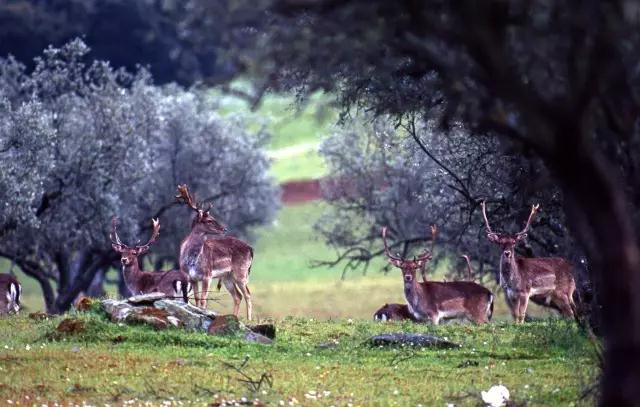 1583289088799186.jpg 微信圖片_20200304103017.jpg