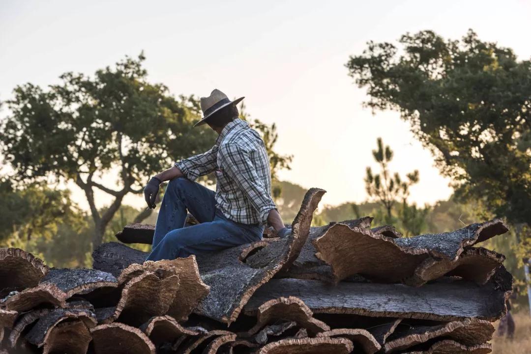 科櫟奇實業(yè).jpg 科櫟奇實業(yè).jpg