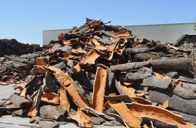 科櫟奇軟木原料.jpg 科櫟奇軟木原料.jpg