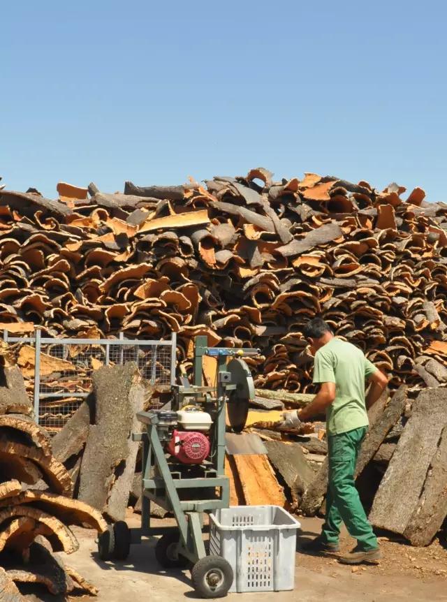 科櫟奇軟木布.jpg 科櫟奇軟木布.jpg