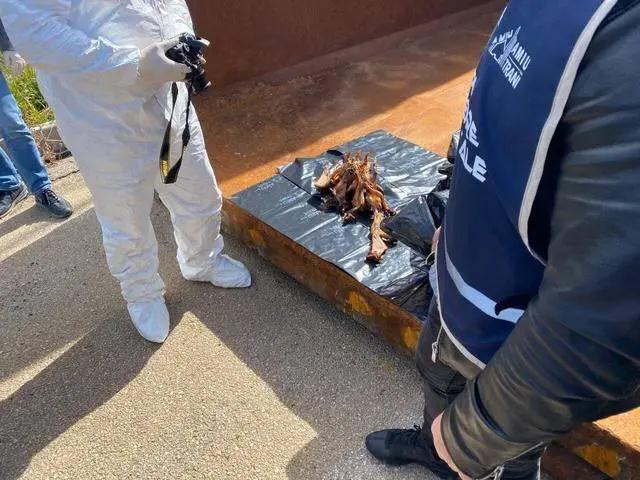 科櫟奇軟木材料.jpg 科櫟奇軟木材料.jpg