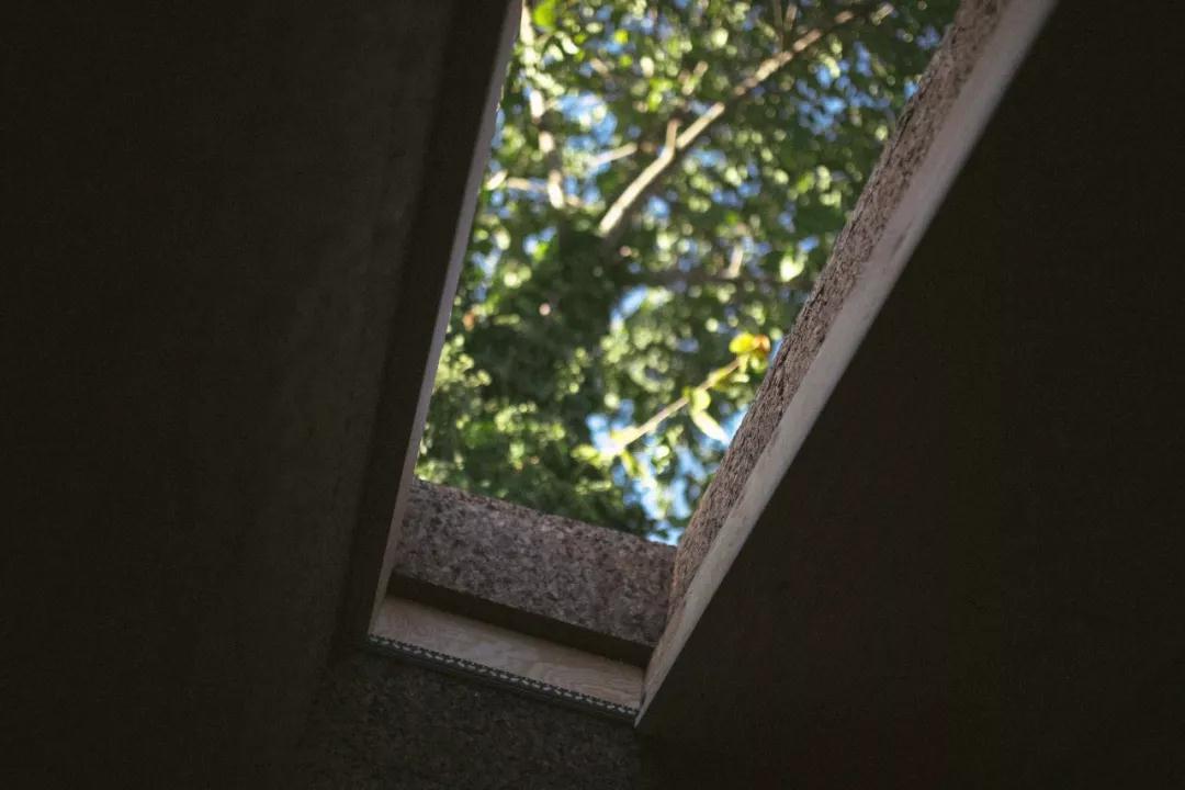 科櫟奇軟木.jpg 科櫟奇軟木.jpg