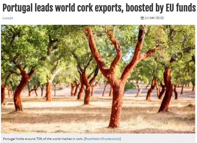 科櫟奇軟木.jpg 科櫟奇軟木.jpg