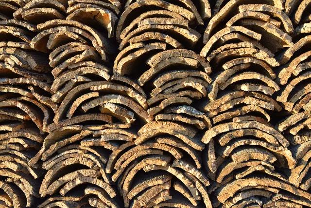 科櫟奇軟木.jpg 科櫟奇軟木.jpg