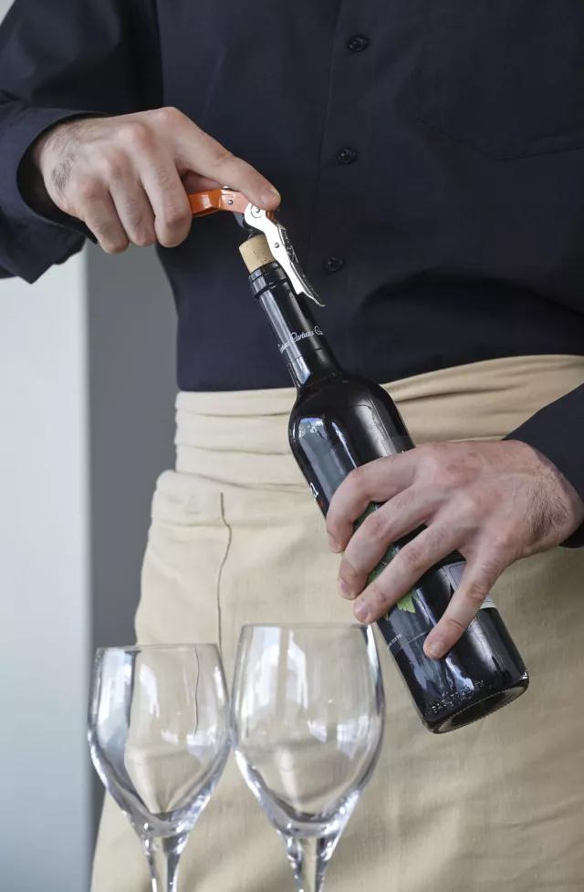 科櫟奇軟木.jpg 科櫟奇軟木.jpg