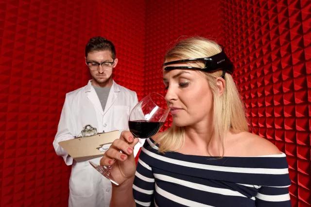 科櫟奇軟木.jpg 科櫟奇軟木.jpg