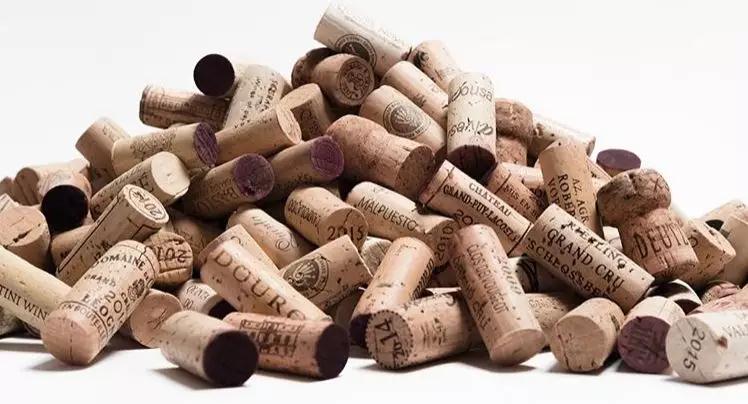 科櫟奇軟木.jpg 科櫟奇軟木.jpg