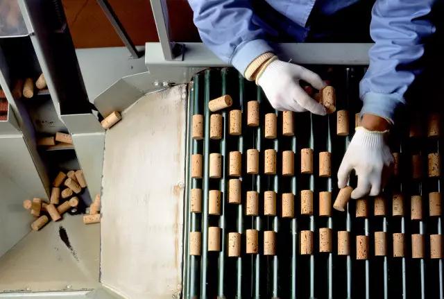 科櫟奇軟木.jpg 科櫟奇軟木.jpg