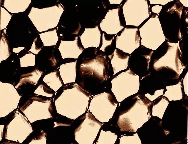 科櫟奇軟木.jpg 科櫟奇軟木.jpg