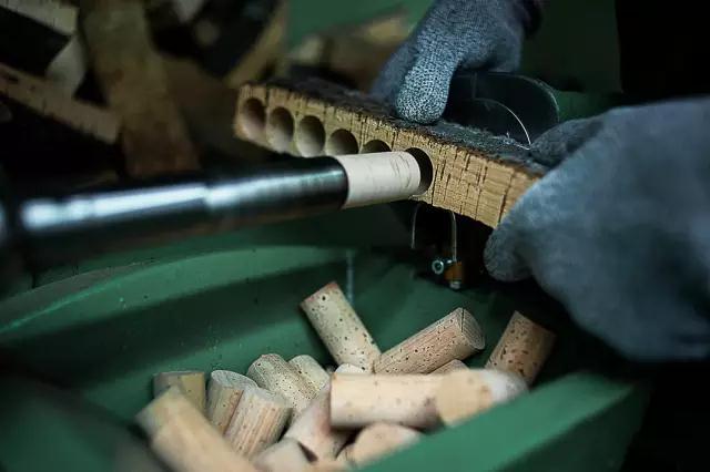 科櫟奇軟木.jpg 科櫟奇軟木.jpg