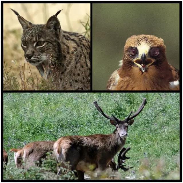 1585899229929965.jpg 微信圖片_20200403153053.jpg