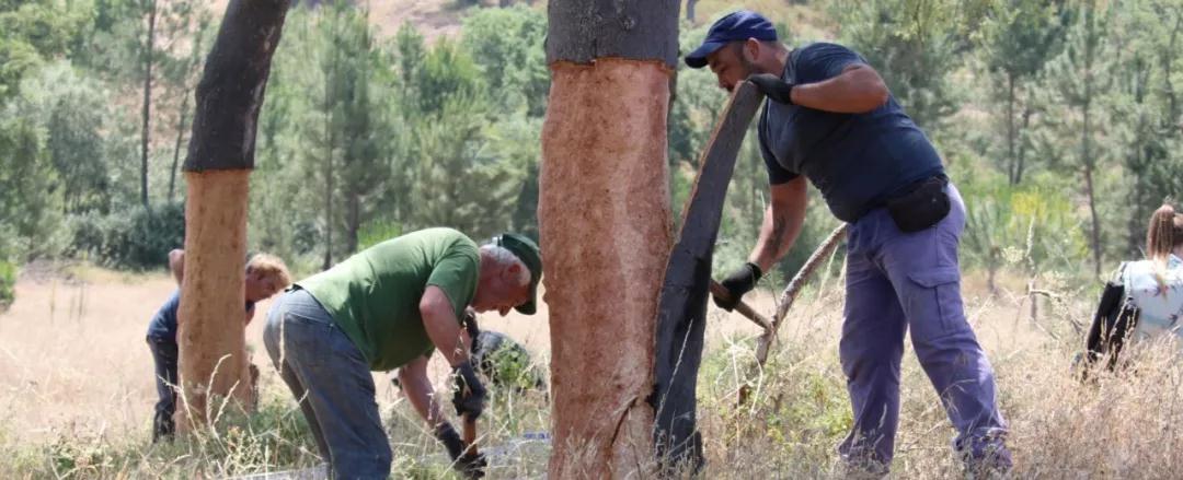 1585899274883909.jpg 微信圖片_20200319100955.jpg