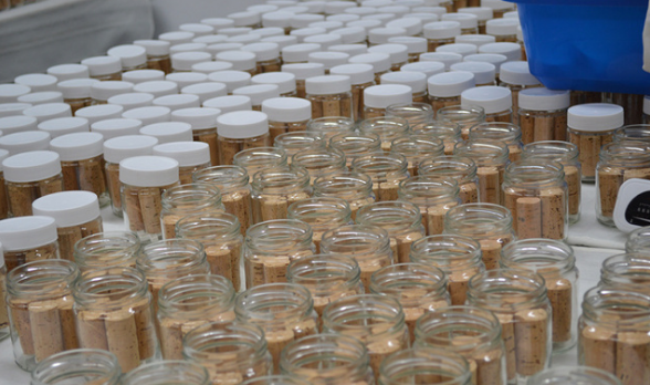 科櫟奇軟木.png 科櫟奇軟木.png