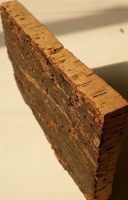 1586413261284535.jpg t016c44fd002d6f660b.jpg