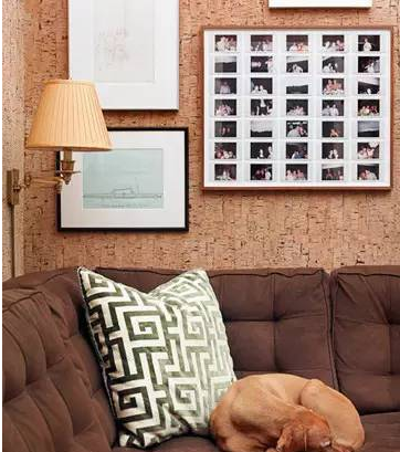 軟木板.png 軟木板.png