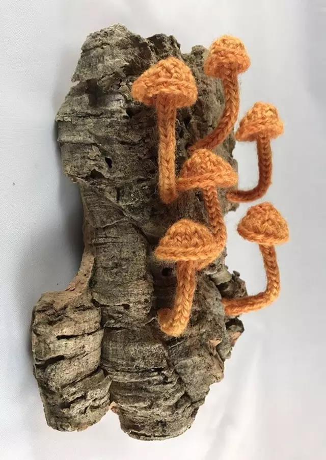 軟木樹皮.jpg 軟木樹皮.jpg