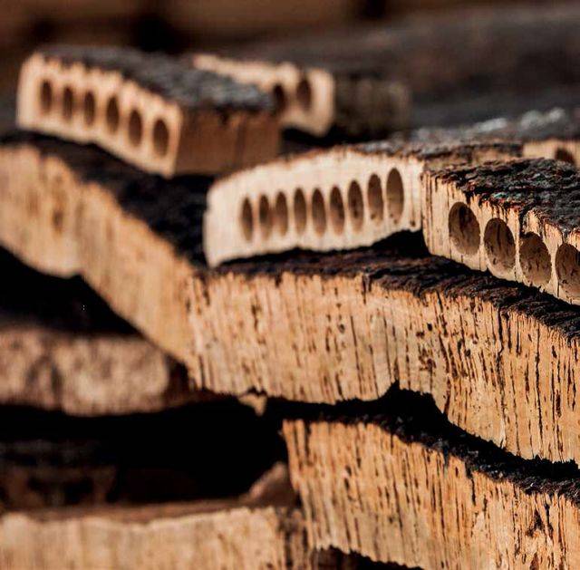 軟木.jpg 軟木.jpg