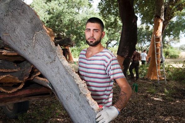 軟木.jpg 軟木.jpg