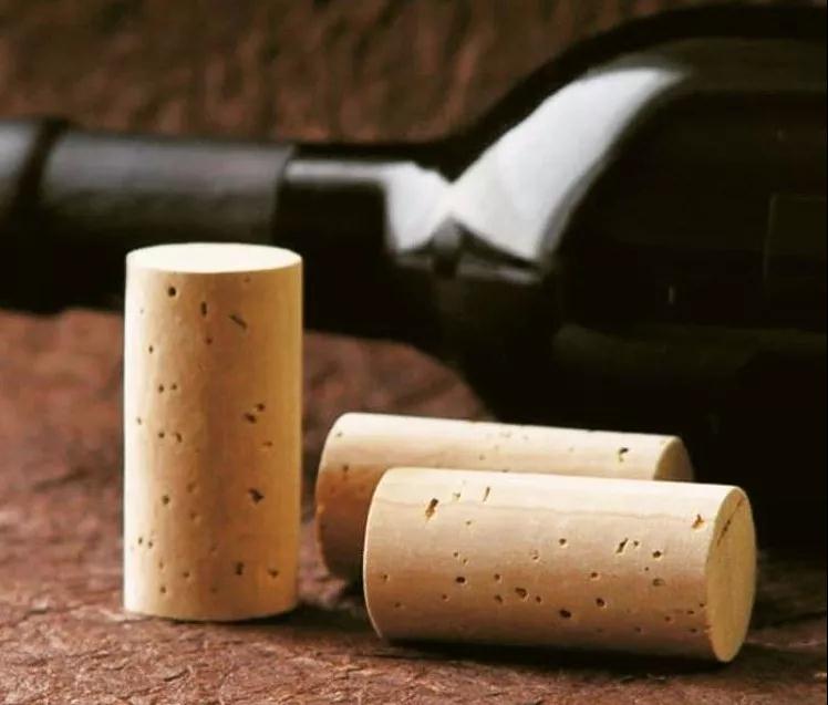 軟木.jpg 軟木.jpg