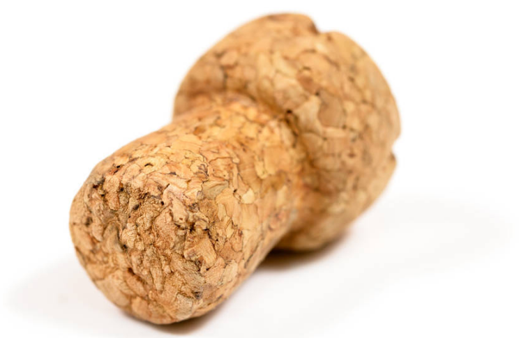 軟木塞.png 軟木塞.png